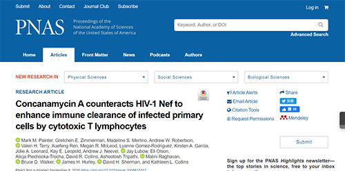 HIV建立了無法治愈的持久性感染,因此需要開發(fā)新的方法來增強HIV感染細(xì)胞的清除率。